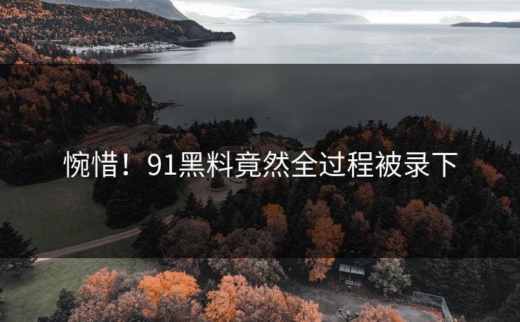 惋惜！91黑料竟然全过程被录下