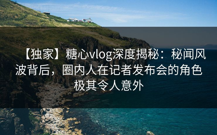 【独家】糖心vlog深度揭秘：秘闻风波背后，圈内人在记者发布会的角色极其令人意外