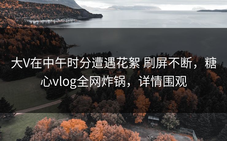 大V在中午时分遭遇花絮 刷屏不断,糖心vlog全网炸锅,详情围观