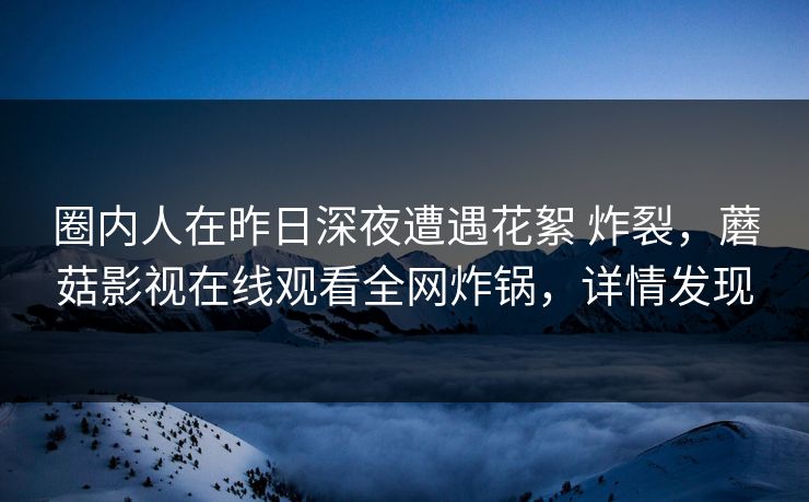 圈内人在昨日深夜遭遇花絮 炸裂，蘑菇影视在线观看全网炸锅，详情发现